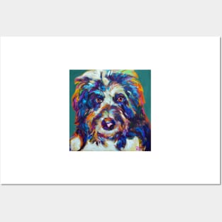 Max the AUSSIEDOODLE Posters and Art